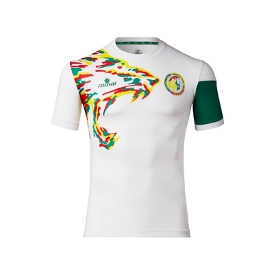 Die WM Trikots 2018 von Senegal